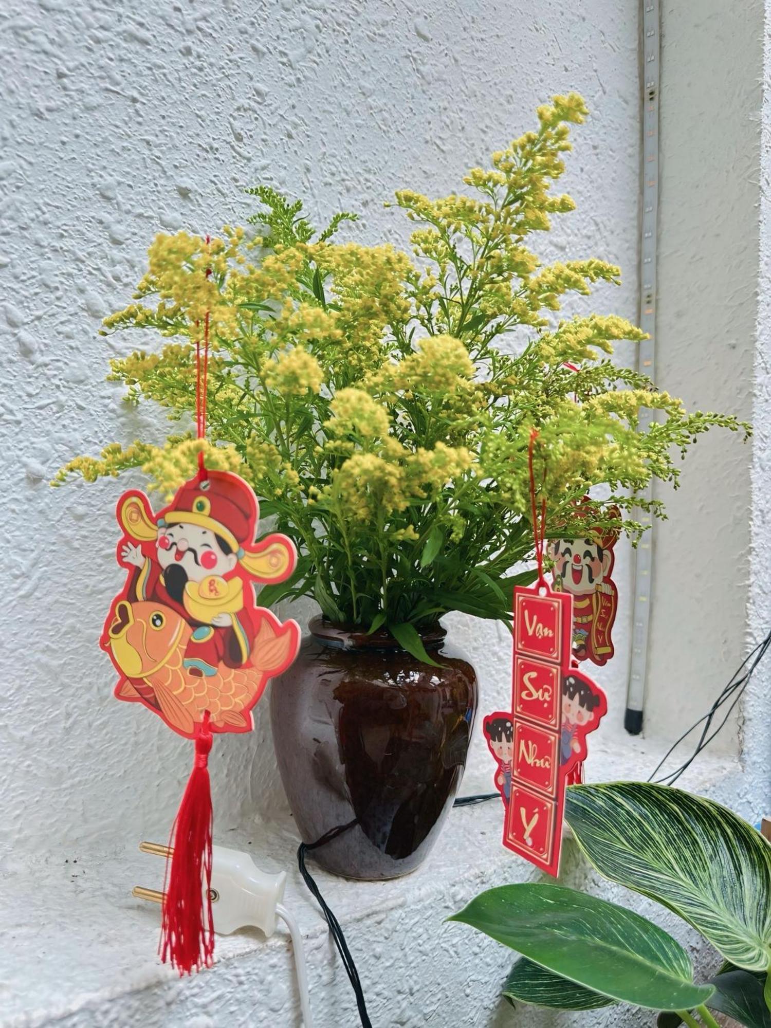 Little Garden Hostel Ho Chi Minh City