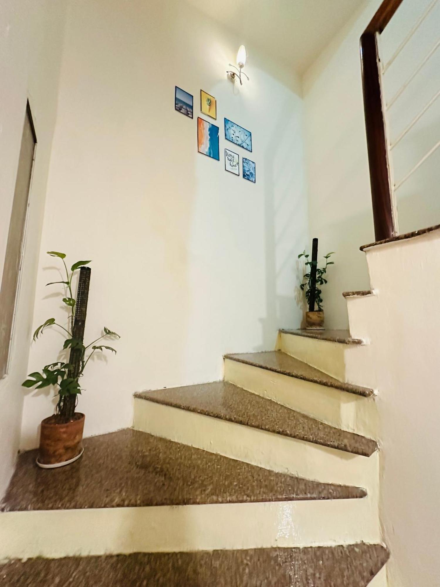 Hostel Little Garden